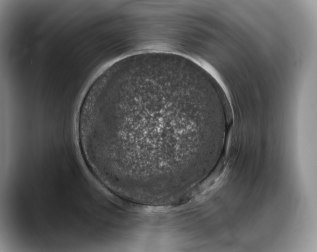 X0000088021389200706081432