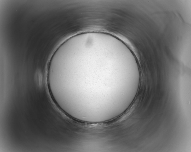 X0000088021390200706081432