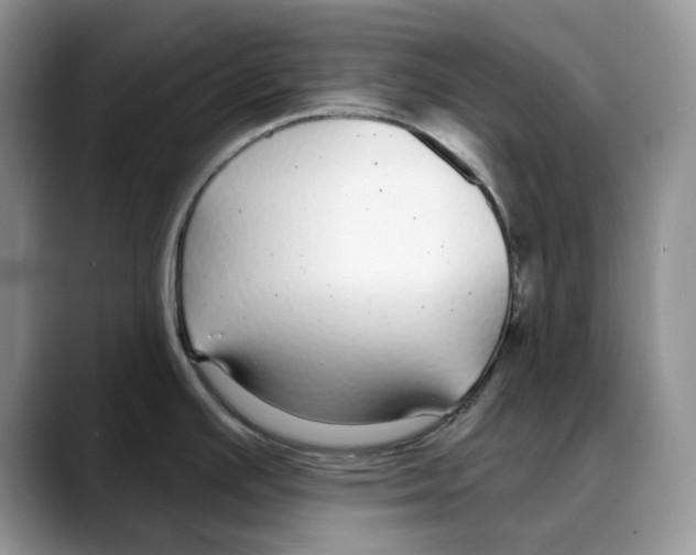 X0000088021391200706081432