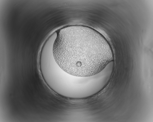 X0000088021392200706081432