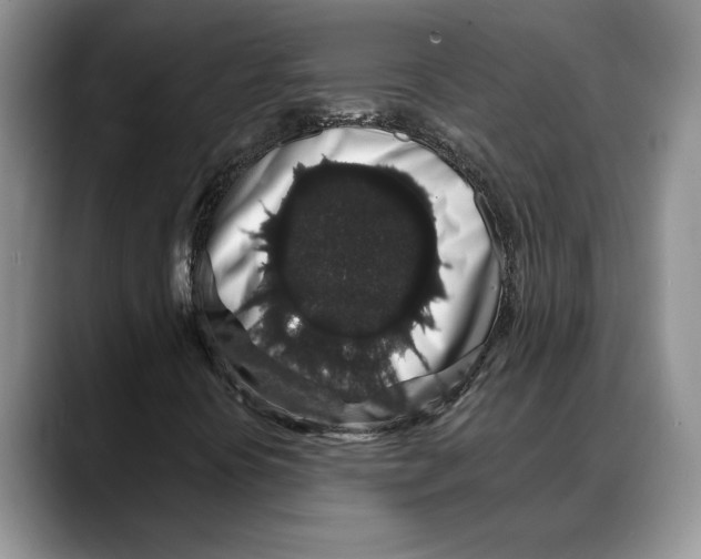 X0000088021394200706081432