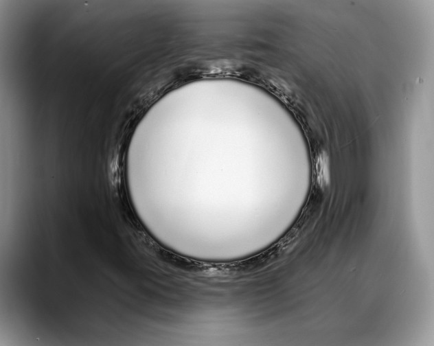 X0000088021395200706081432