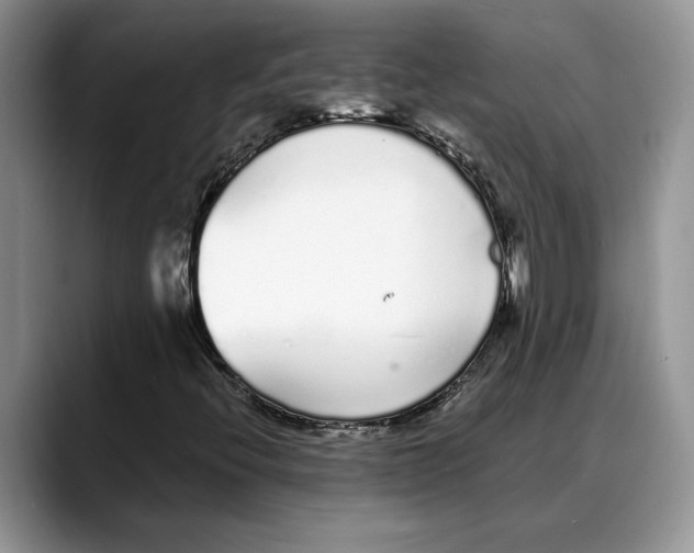 X0000088021396200706081432