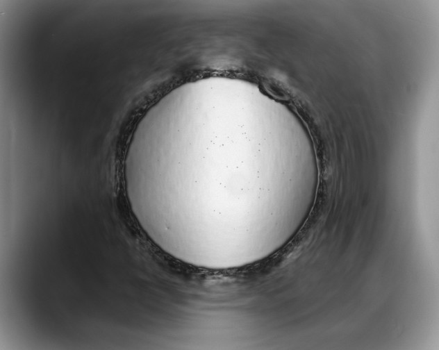 X0000088021398200706081432