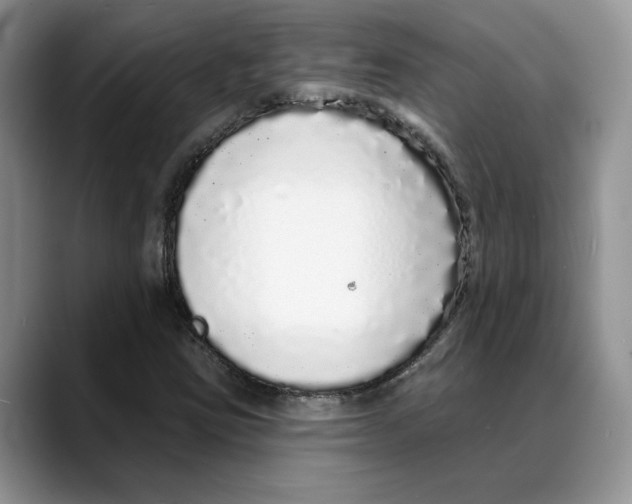 X0000088021403200706081432