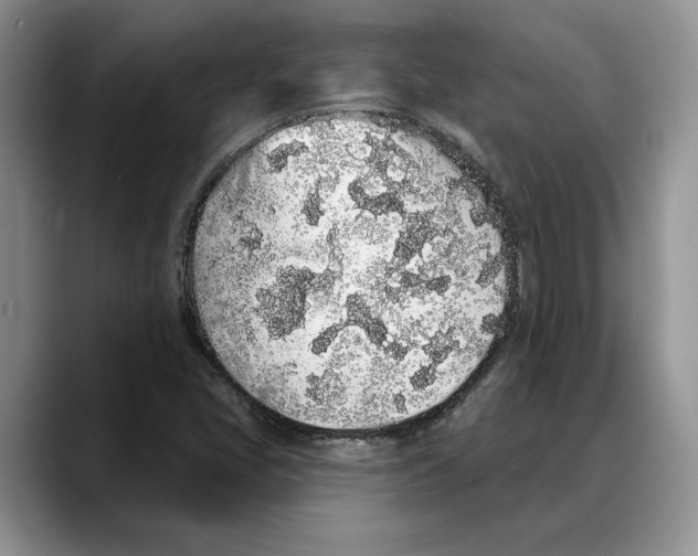 X0000088021405200706081432