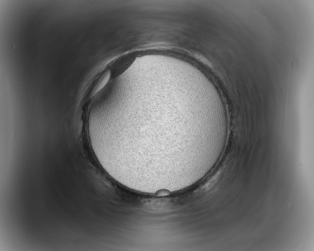 X0000088021406200706081432