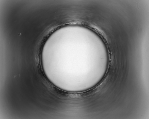 X0000088021407200706081432