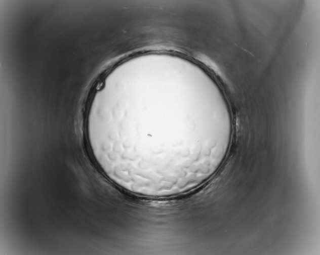 X0000088021408200706081432