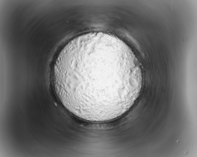 X0000088021411200706081432