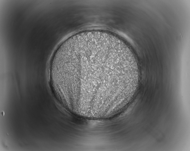 X0000088021413200706081432