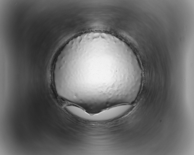 X0000088021415200706081432