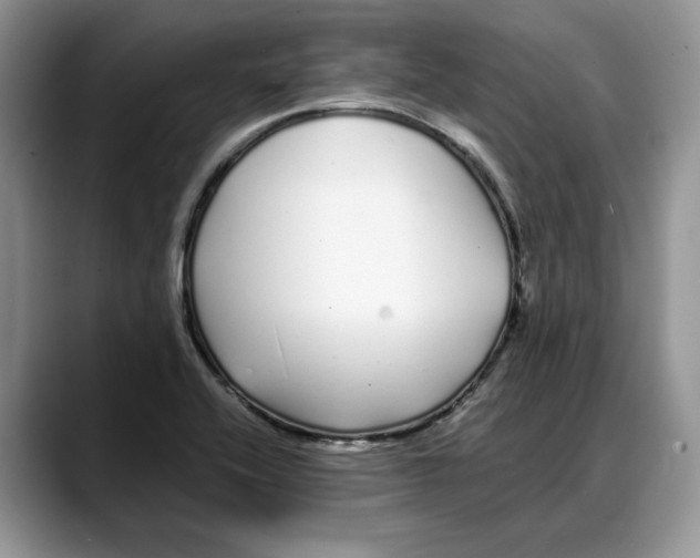 X0000088021416200706081432