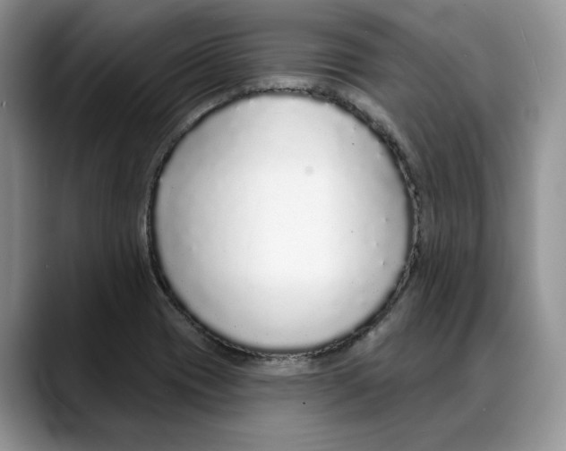 X0000088021417200706081432