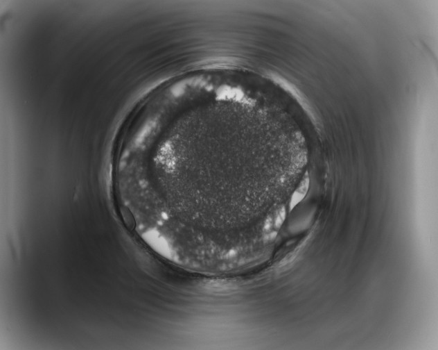 X0000088021418200706081432