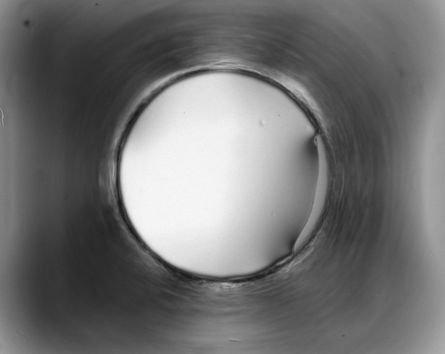 X0000088021424200706081432