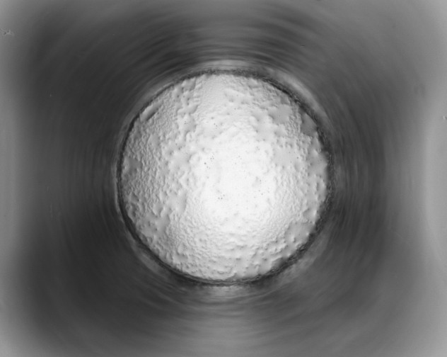 X0000088021425200706081432