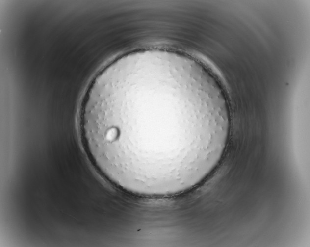 X0000088021429200706081432