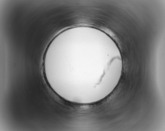 X0000088021431200706081432