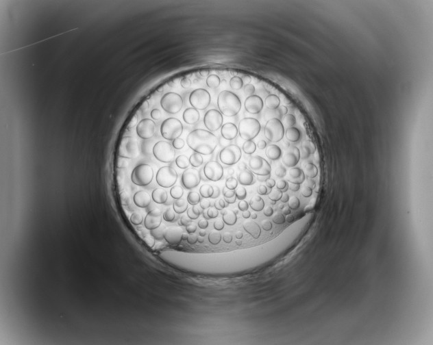 X0000088021432200706081432