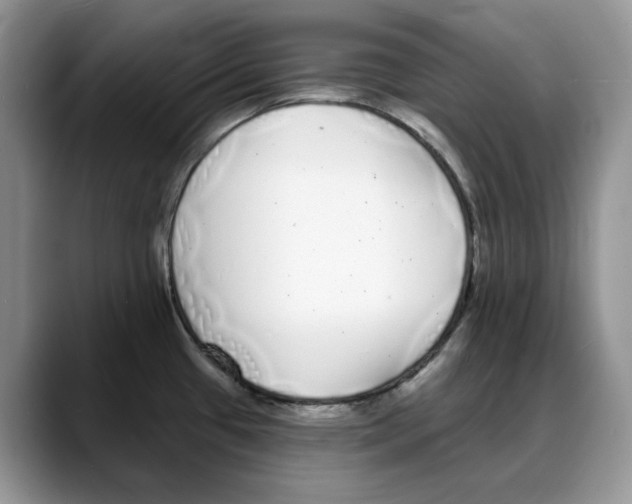 X0000088021433200706081432