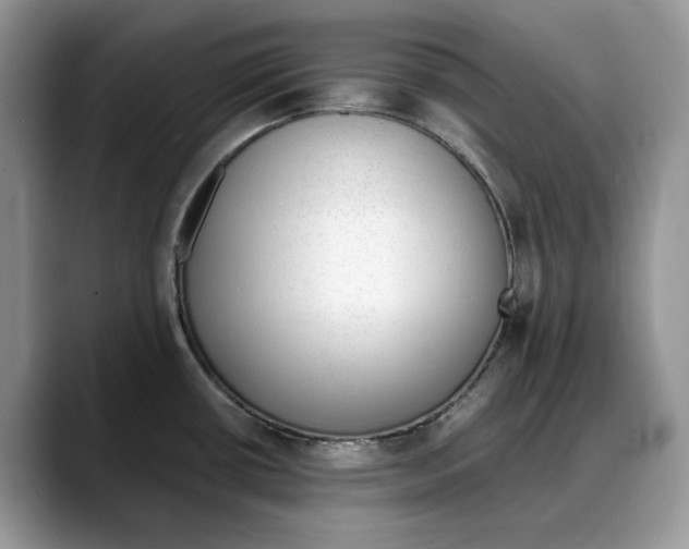 X0000088021434200706081432