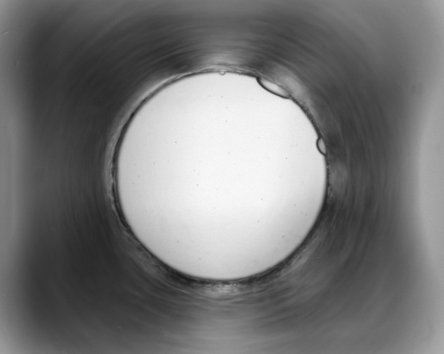 X0000088021435200706081432