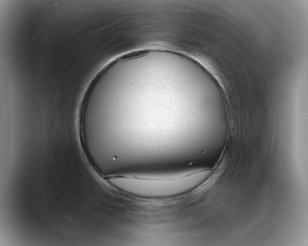 X0000088021438200706081432