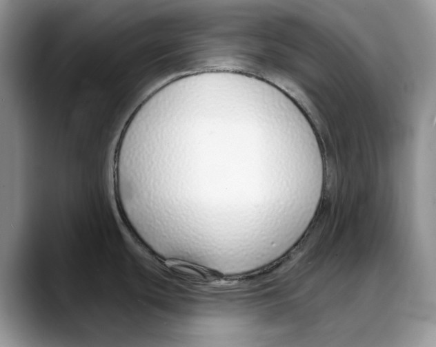 X0000088021439200706081432