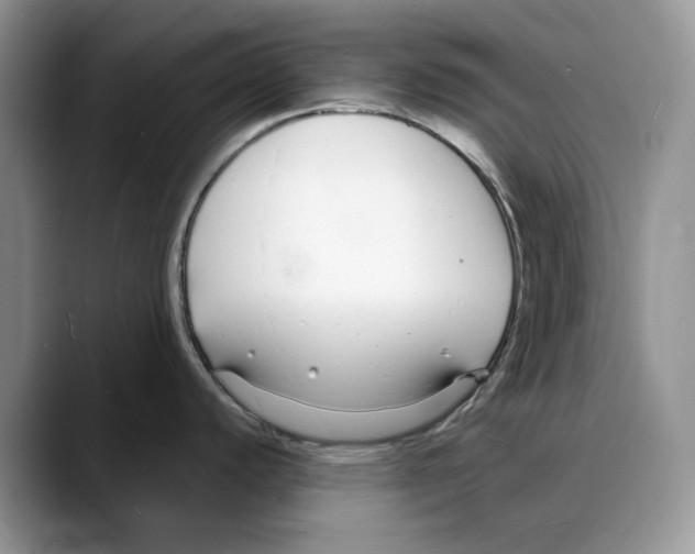 X0000088021440200706081432