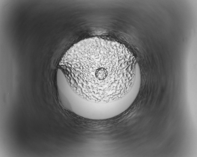 X0000088021441200706081432