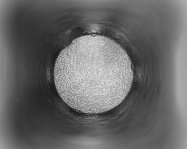 X0000088021442200706081432