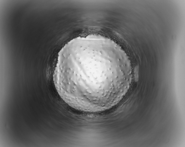 X0000088021443200706081432