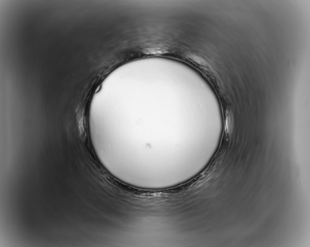 X0000088021444200706081432