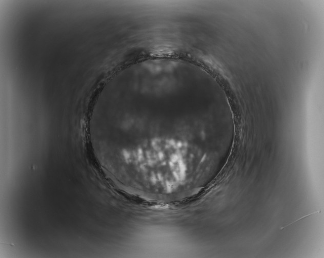 X0000088021445200706081432