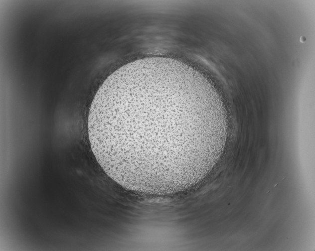 X0000088021446200706081432