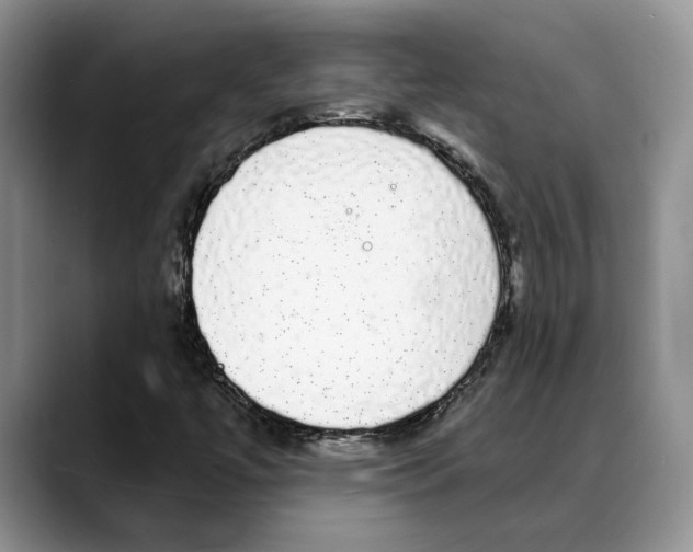 X0000088021447200706081432