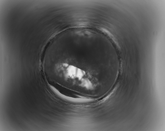 X0000088021449200706081432