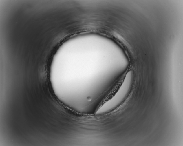 X0000088021450200706081432