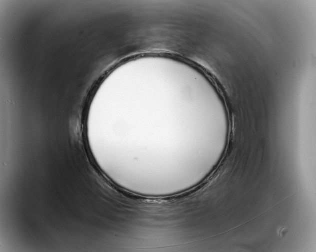 X0000088021452200706081432