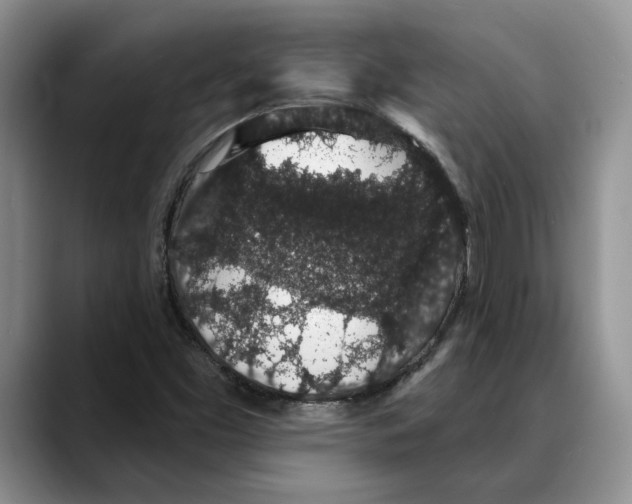 X0000088021453200706081432