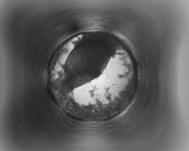 X0000088021457200706081431