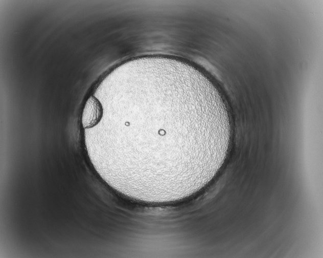 X0000088021458200706081431