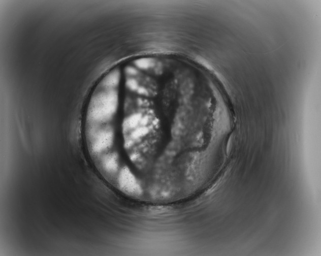 X0000088021459200706081431