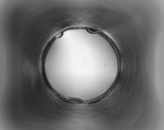 X0000088021460200706081431