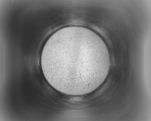 X0000088021462200706081431