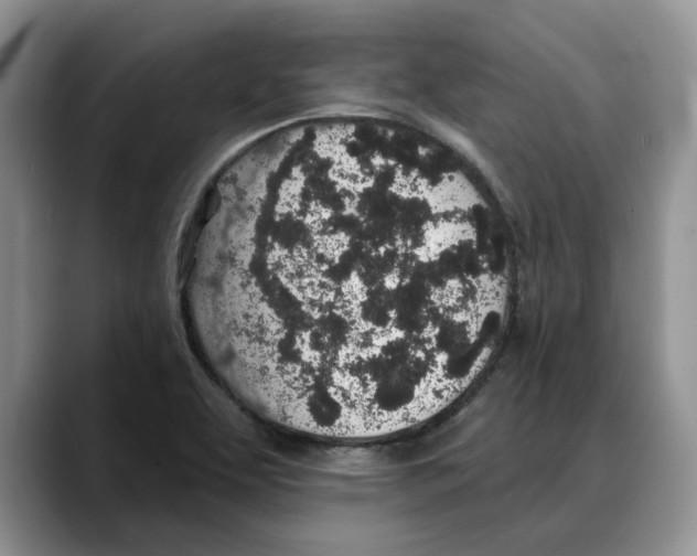 X0000088021463200706081431