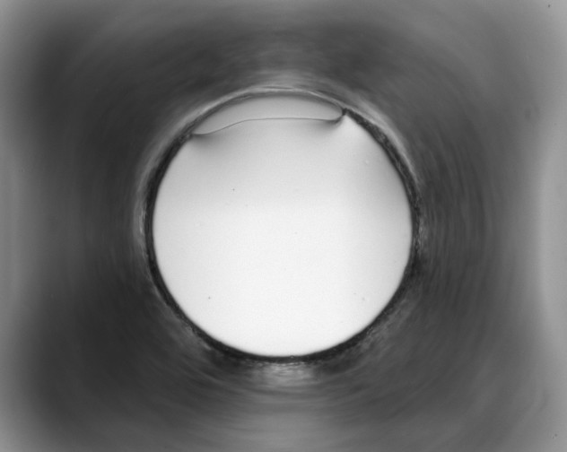 X0000088021464200706081431