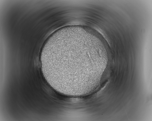 X0000088021465200706081431