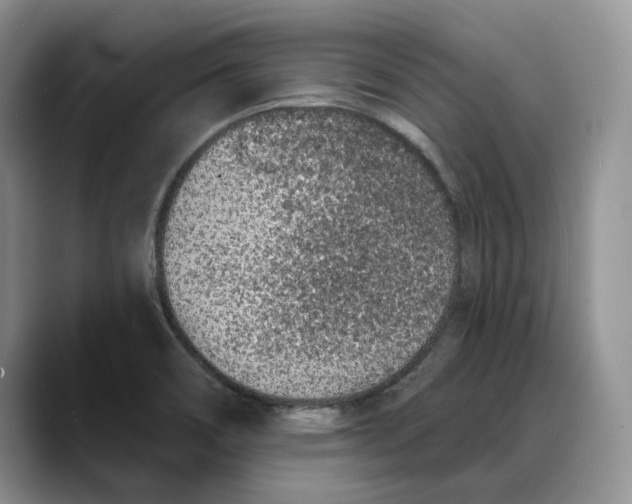 X0000088021466200706081431